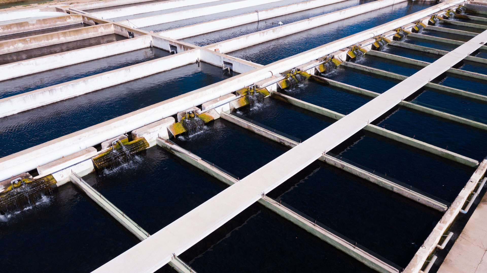 Aquafarming Plastic heat exchangers Calorplast Wärmetechnik