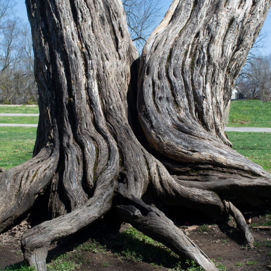 Vision und Mission Statement von Calorplast Wärmetechnik